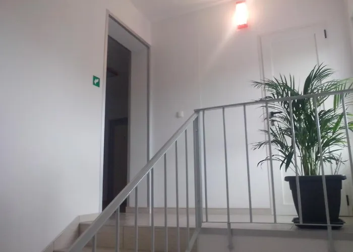 公寓 阿摩尔公寓 扎达尔