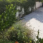 A-mol زادار